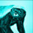 Aqua Ratel