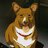 Corgimentions