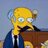 Mr Snrub