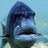 Funniest Fish