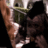 Exhibortionist