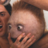 Isshun