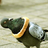 Pigeonhole