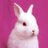 Wheresbunbun