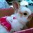 Snarkybunny