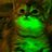 glowcat