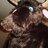 iammoose