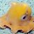 Gay Mollusk