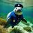 policemanatee