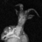 BillyGoat2