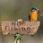 fishing bird