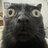 Marsey Cat