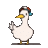 Duck & Cover