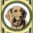 The Good Dog
