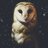 OwlShaman