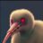 Carbide