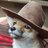 Slightly Racist Cowboy