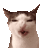 Barsik