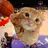 ballinkitten43