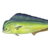Dolphin Fish