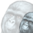 Lurking4Lulz