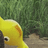 PikminCollector