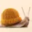 The Snail