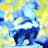 blueskunk