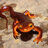 California Newt