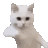 wpww