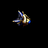 Protoss Observer