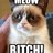 MeowBitch