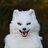 ArcticFoxHiro