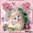 Sweetie Kitty