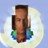 Lawyer From Legoland