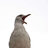 BaddestSeagull