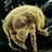 GigaBrainWorm