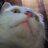 Don Gato
