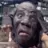 Melanistic White Person