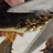 thiskillsthecrab