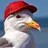 Steve Seagull