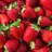 Strawb3rry