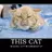 Nobody owns a cat