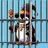Penguin Chancellor