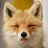 Kleiner Fuchs