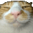 Starefag