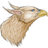 417Griffinhead