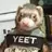 MaldingFerret