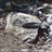 Unobtrusive small rock