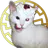 Zorgulon